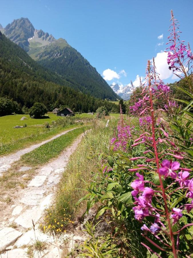 Gotthard Backpacker Hostel