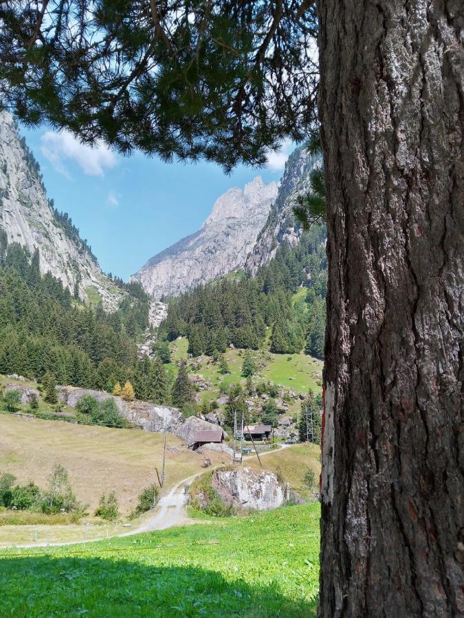 Gotthard Backpacker Wassen