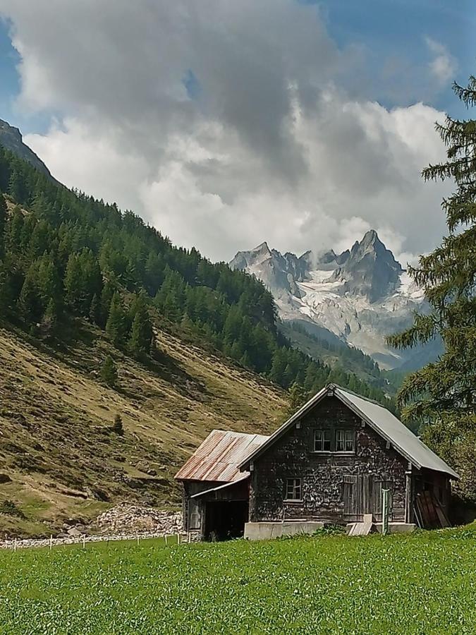 Hostel Gotthard Backpacker