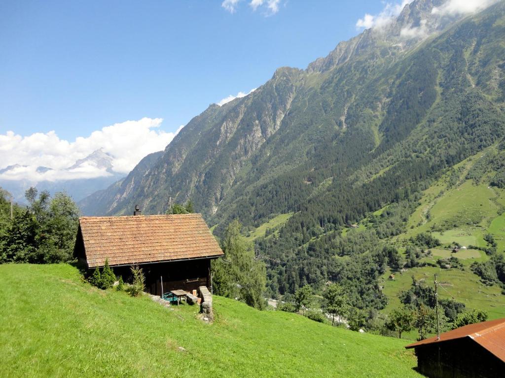 Hostel Gotthard Backpacker