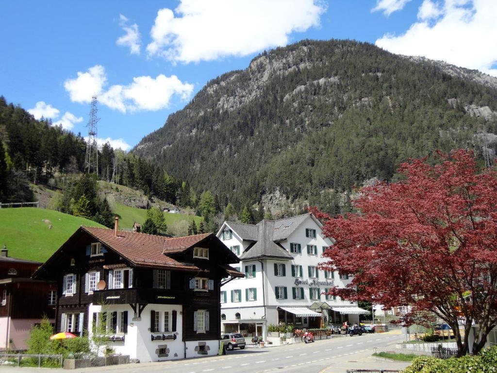 Hostel Gotthard Backpacker *